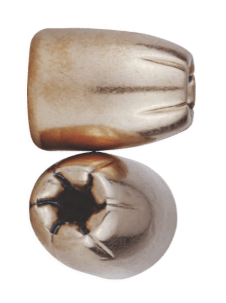 Hollow Point vs Regular Bullets Berry's Bullets Blog