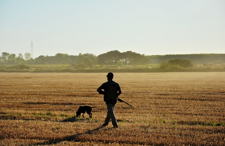 Hunter with dog