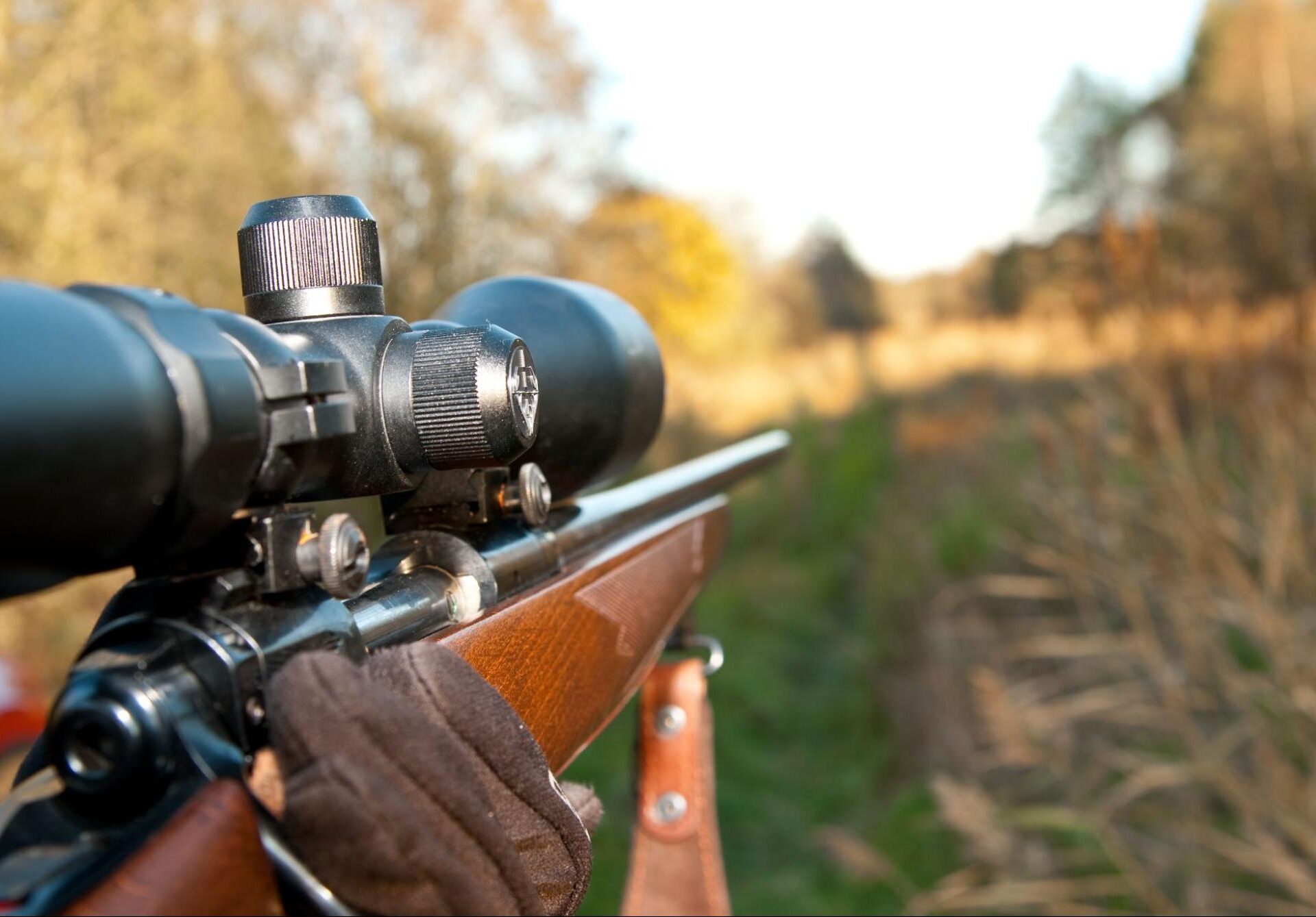 How to Sight in a Rifle Scope