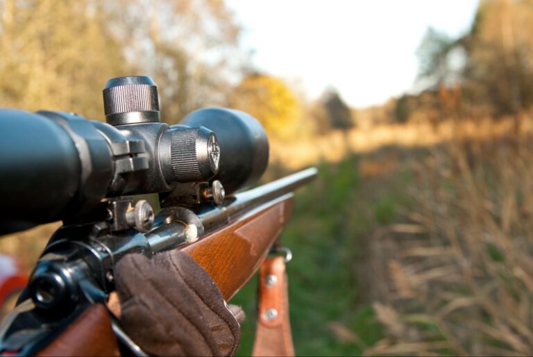 How to Sight in a Rifle Scope